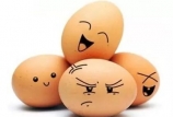最全面的蛋雞養(yǎng)殖常見(jiàn)技術(shù)問(wèn)答