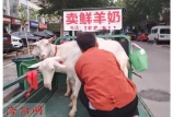 這類人畜共患病要警惕！這地今年發(fā)現(xiàn)432例患者